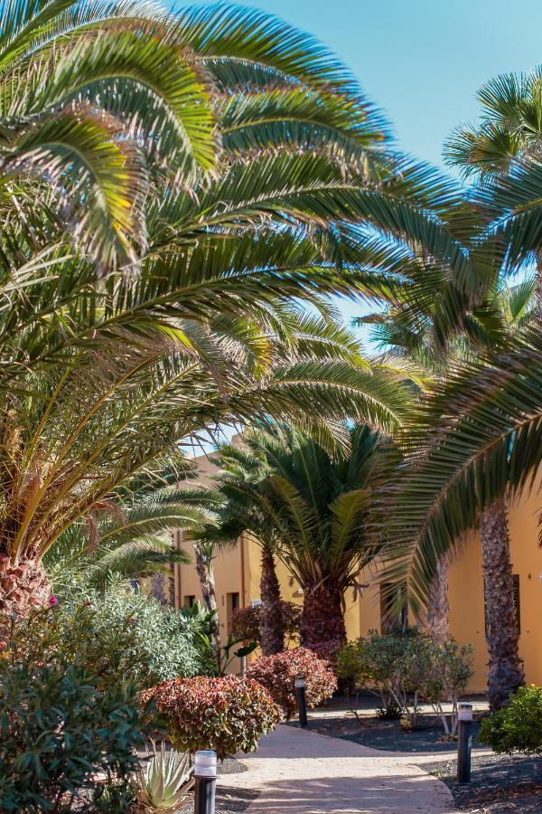 Fuerteventura Apartments Tamarindo 1 Corralejo Kültér fotó