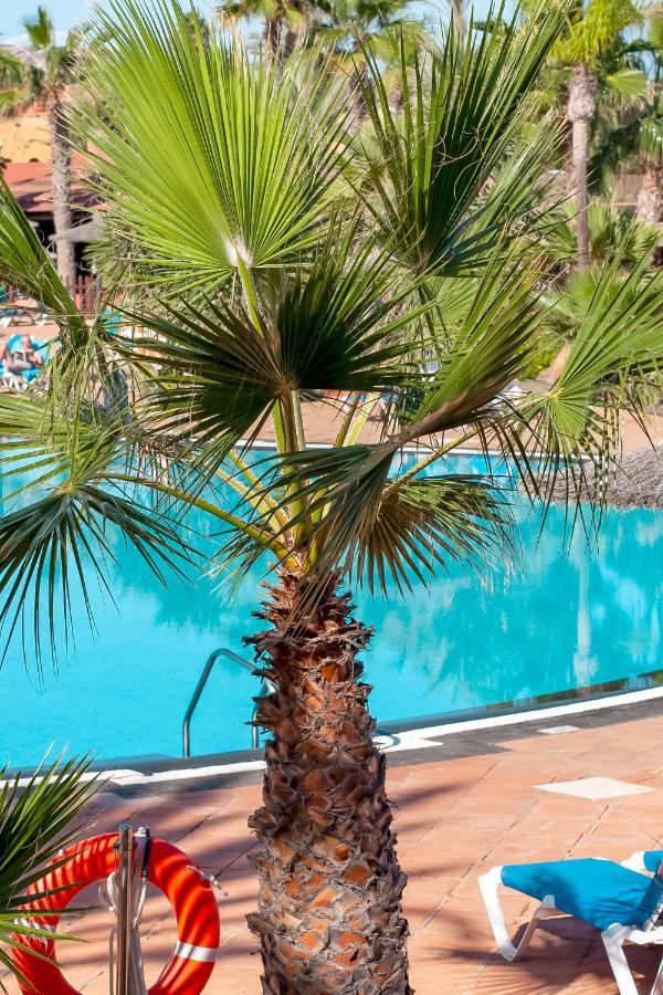 Fuerteventura Apartments Tamarindo 1 Corralejo Kültér fotó